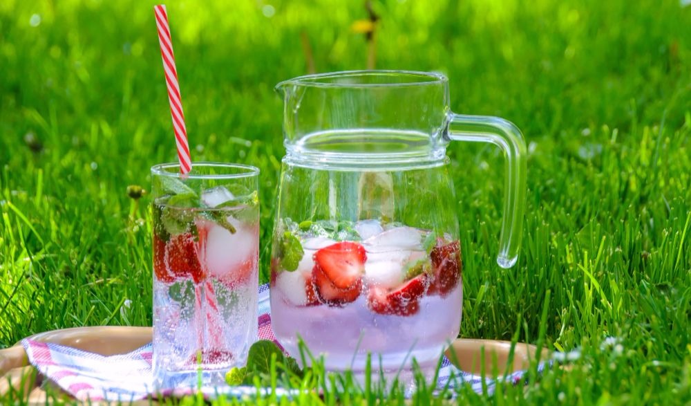 Herb And Fruit Infused Water Ideas For A Happy Body
