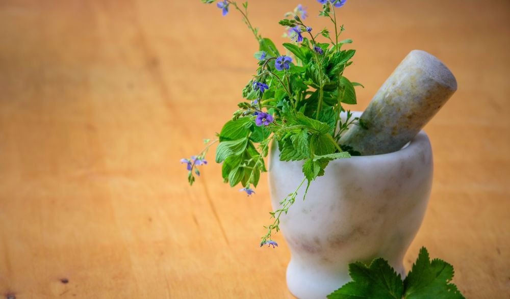 Beat UTI And Have The Upper Hand With These Plants